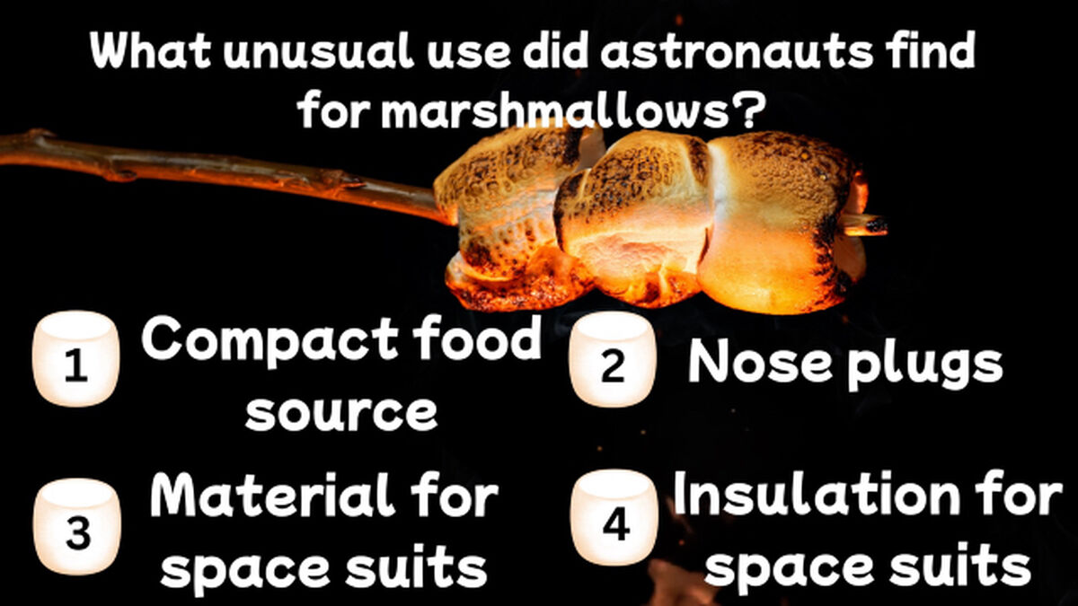 Marshmallow Madness image number 3